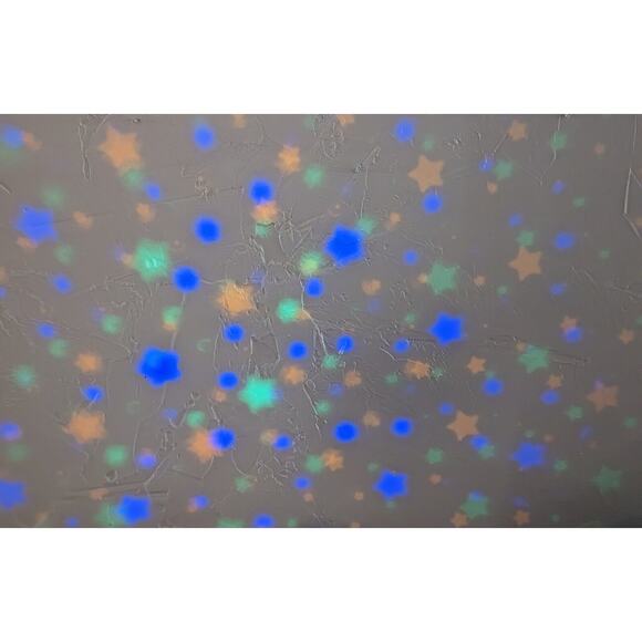 SHARPER IMAGE Star Projection DIGITAL CLOCK Nature Sounds Alarm Clock - Picture 8 of 8